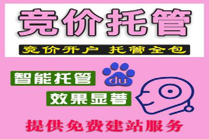 某知名品牌如何通过SEM服务提升转化率